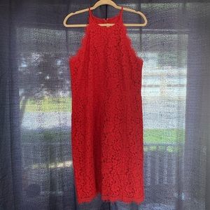 Red Lace Fitted Dress